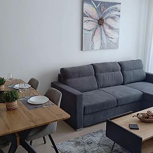One-Bedroom Deluxe Apartment